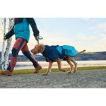 Non-Stop Dogwear Glacier jacket 2.0 koiran talvitakki, liila, purple