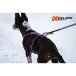 Non-Stop Dogwear Line valjas 5.0, violetti