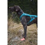 Non-Stop Dogwear Protector Light Socks, lyhyt