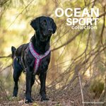 Finnero Ocean Sport Y-valjas Fuksia