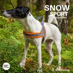 Finnero Snow Sport T-valjas oranssi