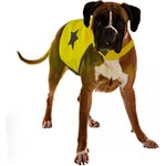 Duvo+ Huomioliivi tähtikuviolla koiralle