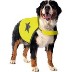 Duvo+ Huomioliivi tähtikuviolla koiralle