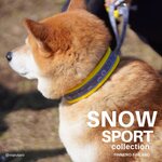 Finnero Snow Sport panta keltainen