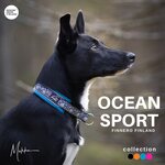 Finnero Ocean Sport puolikiristävä panta turkoosi
