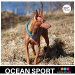Finnero Ocean Sport puolikiristävä panta turkoosi