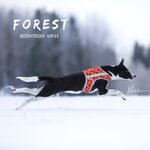 Finnero Brava Forest huomioliivi