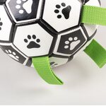 Duvo+ Koiran jalkapallo