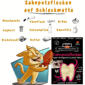QCHEFS Dental Flakes Kissoille ANTIBAKTEERINEN, RAIKASTAA HENGITYSTÄ JA VÄHENTÄÄ BAKTEEREITA SUUSSA)
