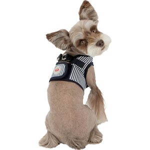 Puppia Soft Vest takkivaljaat B Bobby, stripe, sininen