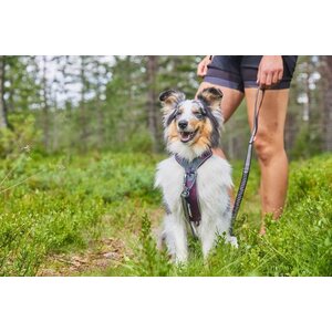 Non-Stop Dogwear Line valjas 5.0, violetti
