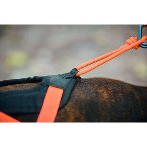 Non-Stop Dogwear Rush vetovaljaat, oranssi