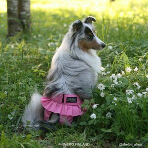 Finnero Ballerina juoksuhousut pinkki