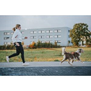Non-Stop Dogwear Rush vetovaljaat, Teal