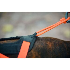 Non-Stop Dogwear Rush vetovaljaat, Teal