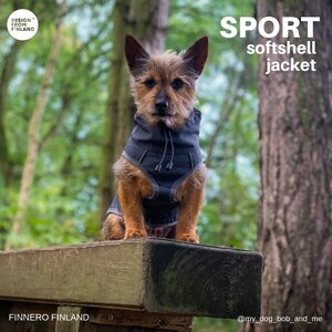 Finnero Brava sport softshell takki harmaa, koko 55cm