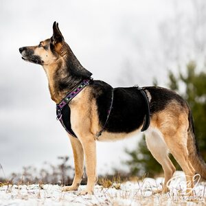 Finnero Rescue Valjasstoppari turvapala valjaisiin