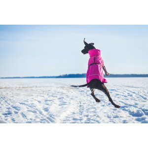 Rukka Warmup koirantakki, Pinkki