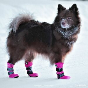 Finnero Halla tossut pinkki