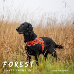 Finnero Brava Forest huomioliivi
