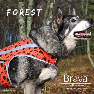 Finnero Brava Forest huomioliivi