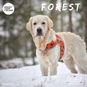 Finnero Brava Forest huomioliivi