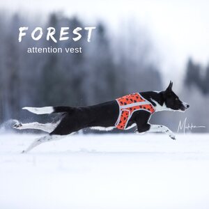 Finnero Brava Forest huomioliivi