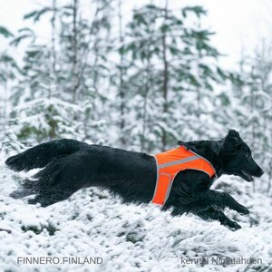 Finnero Brava Atte huomioliivi, oranssi