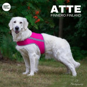 Finnero Brava Atte huomioliivi, pinkki XXL