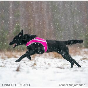 Finnero Brava Atte huomioliivi, pinkki XXL