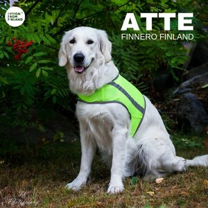 Finnero Brava Atte huomioliivi, neonkeltainen