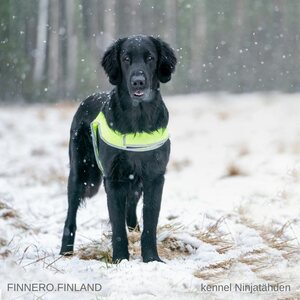 Finnero Brava Atte huomioliivi, neonkeltainen