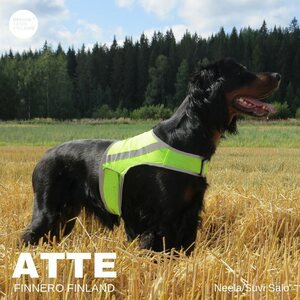 Finnero Brava Atte huomioliivi, neonkeltainen