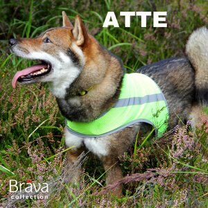 Finnero Brava Atte huomioliivi, neonkeltainen