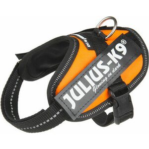Julius K9 ®IDC®-Power koiranvaljas, oranssi