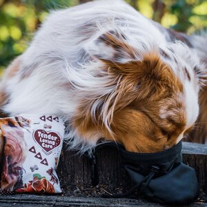 Duvo+ TLC Soft Snack Pehmeä makupala Maksa