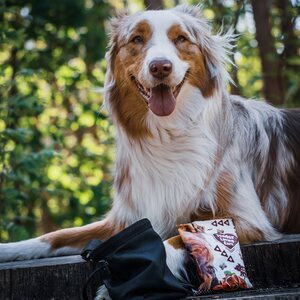 Duvo+ TLC Soft Snack Pehmeä makupala Maksa