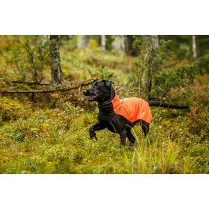 Rukka Lucky Softshell-takki