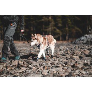 Non-Stop Dogwear Protector Bootie