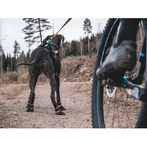 Non-Stop Dogwear Protector Bootie