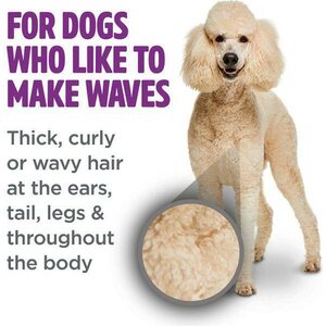 Tropiclean Perfect Fur, Shampoo kiharalle turkille 473ml, villakoira, bichon frise, vanha englannin lammaskoira ja muut rodut joilla on turkissa paljon tuuheutta.
