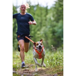 Non-Stop Dogwear Free Motion 5.0 vetovaljaat