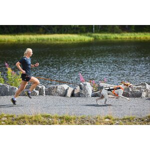 Non-Stop Dogwear Free Motion 5.0 vetovaljaat