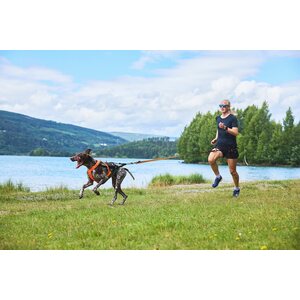Non-Stop Dogwear Free Motion 5.0 vetovaljaat