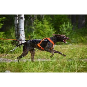 Non-Stop Dogwear Free Motion 5.0 vetovaljaat