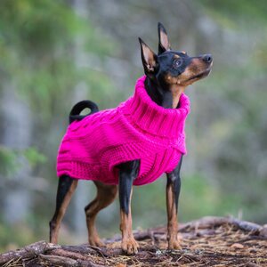 Rukka Wooly koiranneule, Hot Pink