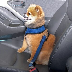 Puppia Simple Dog Turvavyökytkös