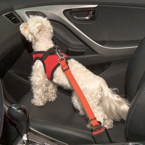 Puppia Simple Dog Turvavyökytkös