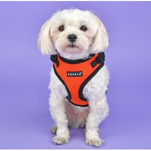 Puppia Ritefit A-valjas, sininen