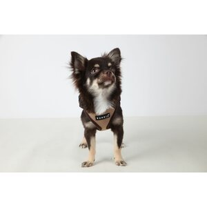 Puppia Ritefit A-valjas, sininen